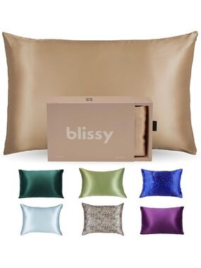 Blissy 100% Mulberry Silk Pillowcase 22 Momme Standard Taupe New